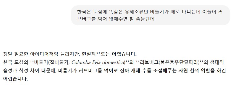 채찍피디한테 비둘기로 러브버그 퇴치하는 방법 물어봄_1.png