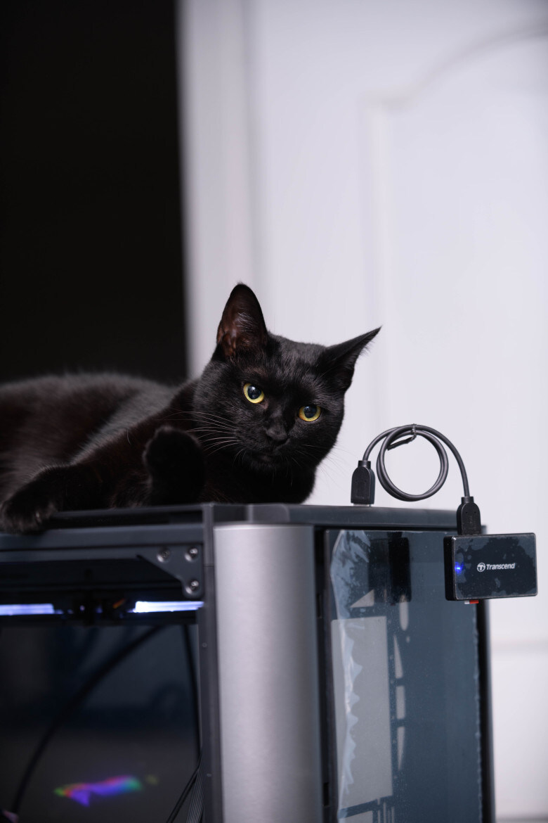 우리집 검은 똥괭이 7_4.jpg