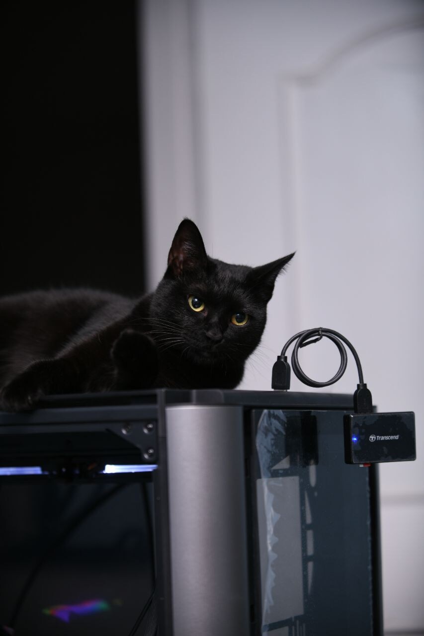 우리집 검은 똥괭이 7_11.jpg