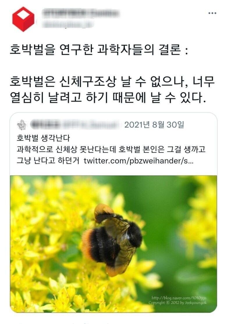 곤충들 중 귀여움류 1티어_5.jpg