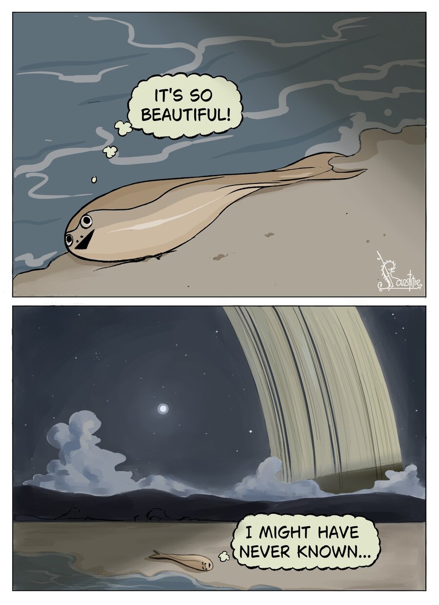 죽기 위해 육지로 나오는 물고기들._1.jpg