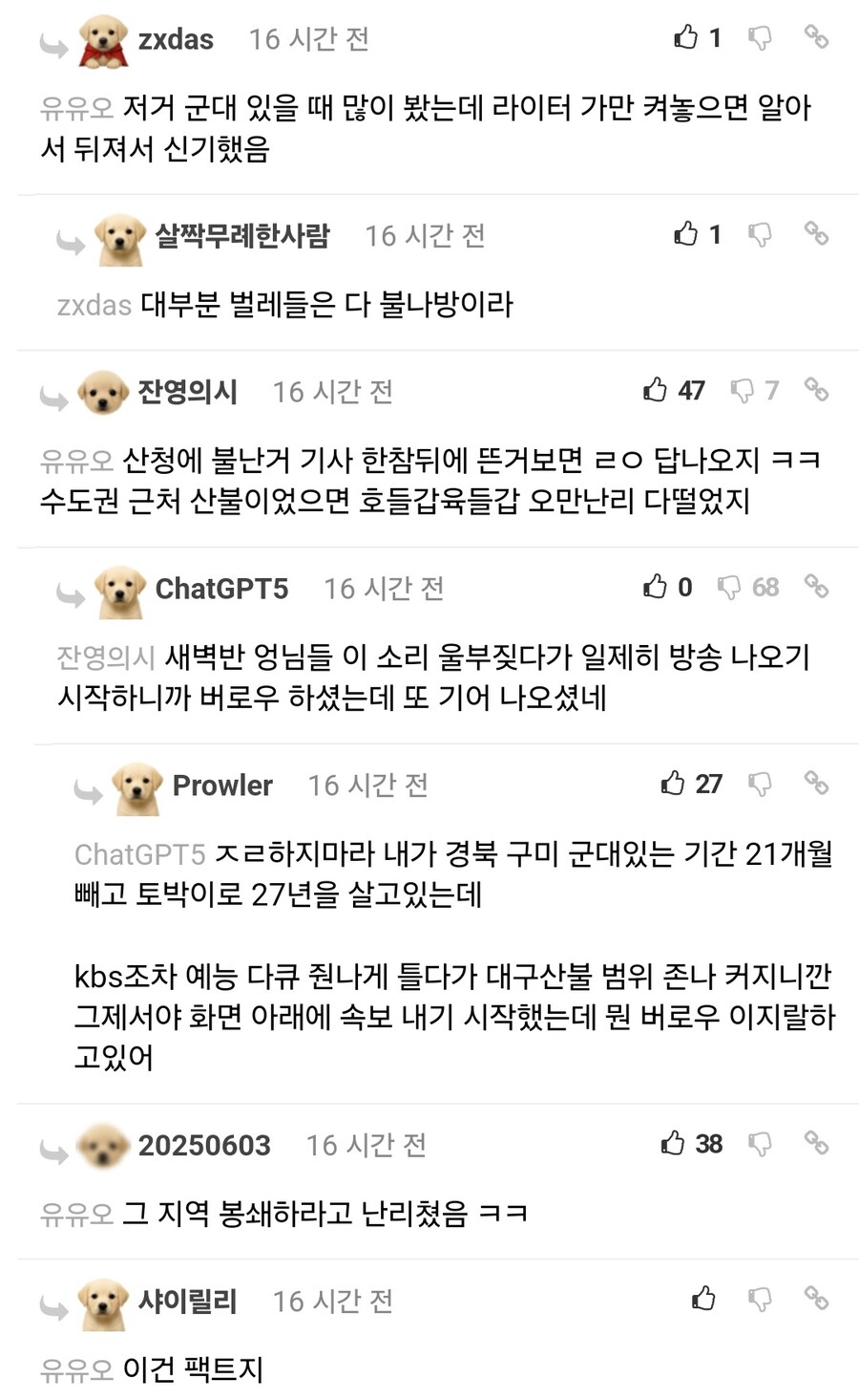 한국에서 러브버그 창궐이 이슈인 이유.jpg_7.jpg