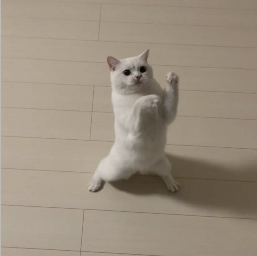 유게이상 덤비는뎃스_1.jpg