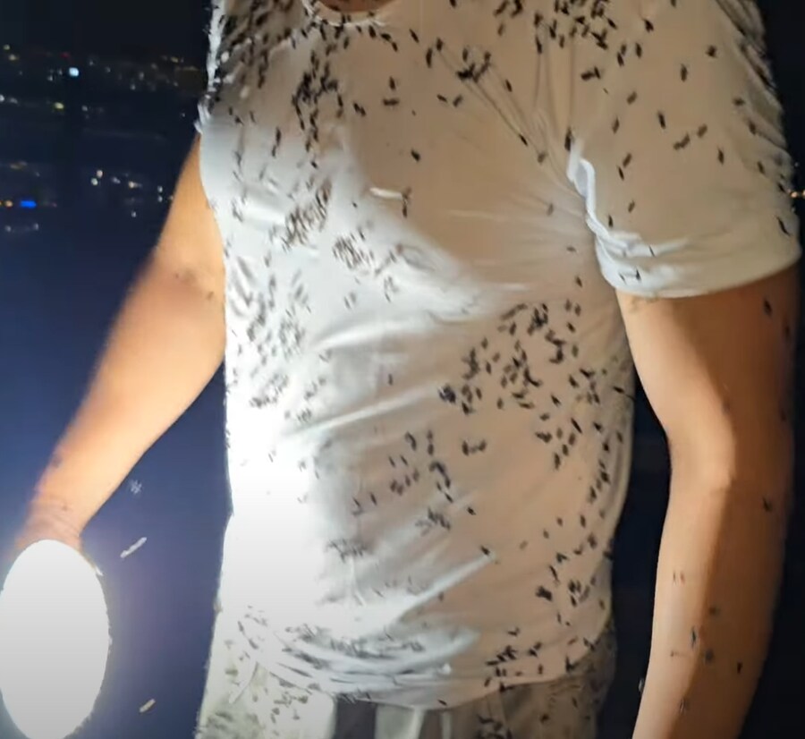 러브버그) 관련 책임자가 전혀 없는거지?_2.png