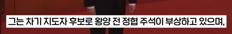 중국 핑핑이 근황.(feat.실각설)_21.png