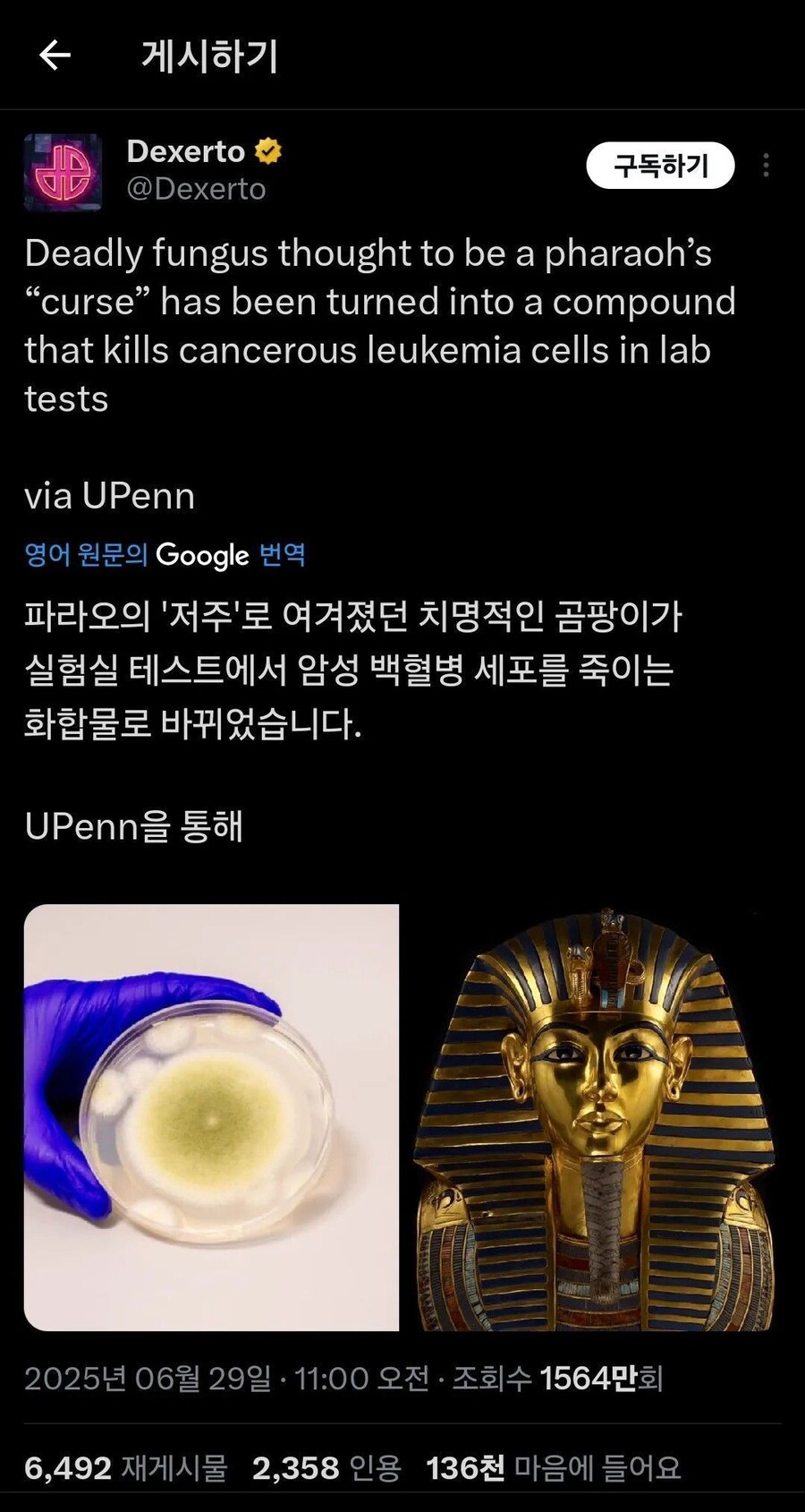 이집트 파라오 근황.jpg_1.jpg