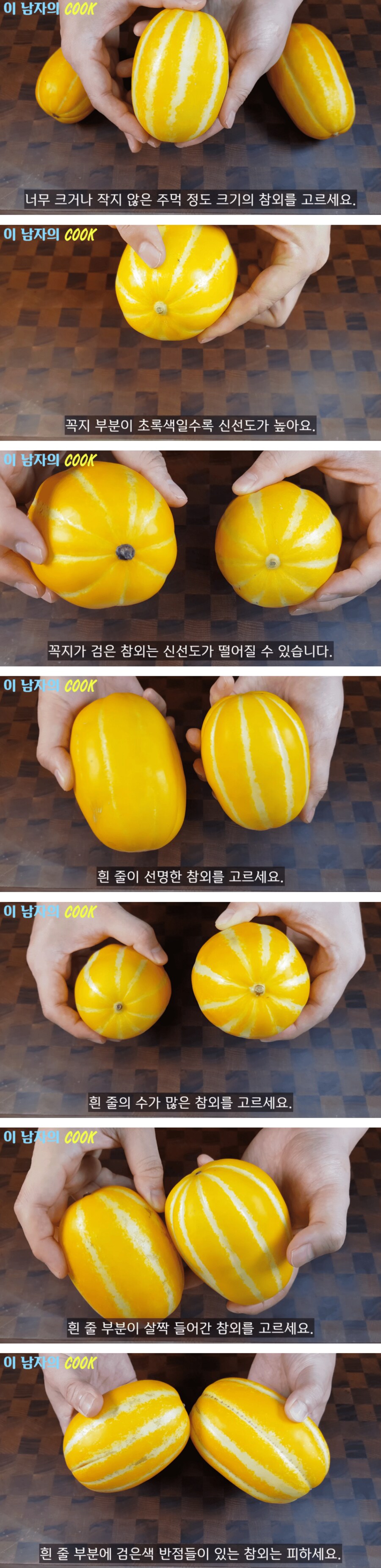맛있는 참외 고르는법.jpe_1.png