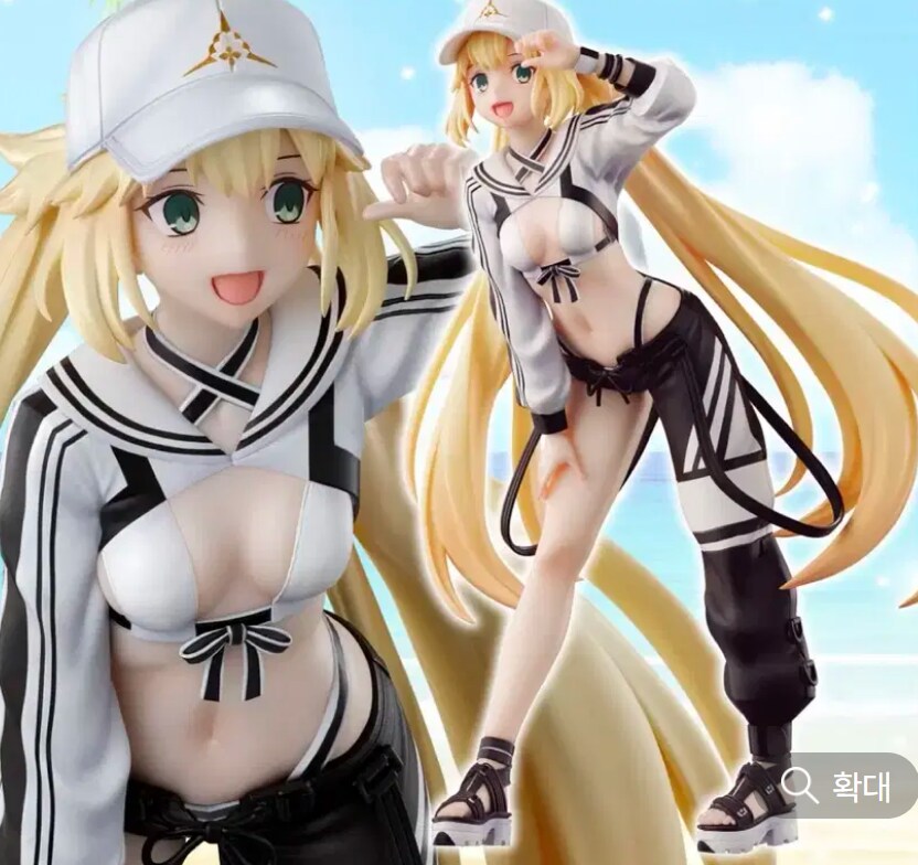 fgo) 세이버면서 캐스터면서 버서커_1.png