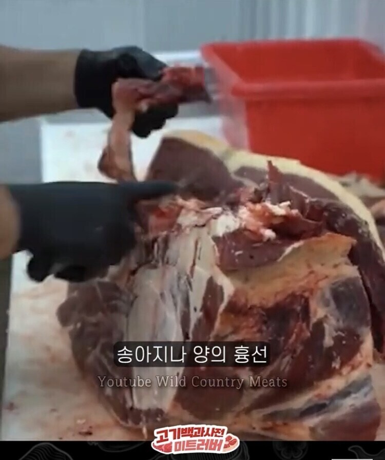 한국인은 잘 모르는 소 내장 부위.jpg_4.jpg