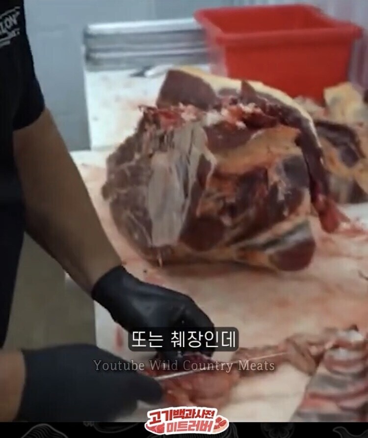 한국인은 잘 모르는 소 내장 부위.jpg_5.jpg