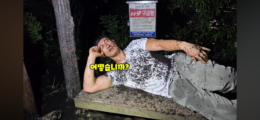 (혐주의) 러브 버그의 번식력.JPG_2.png