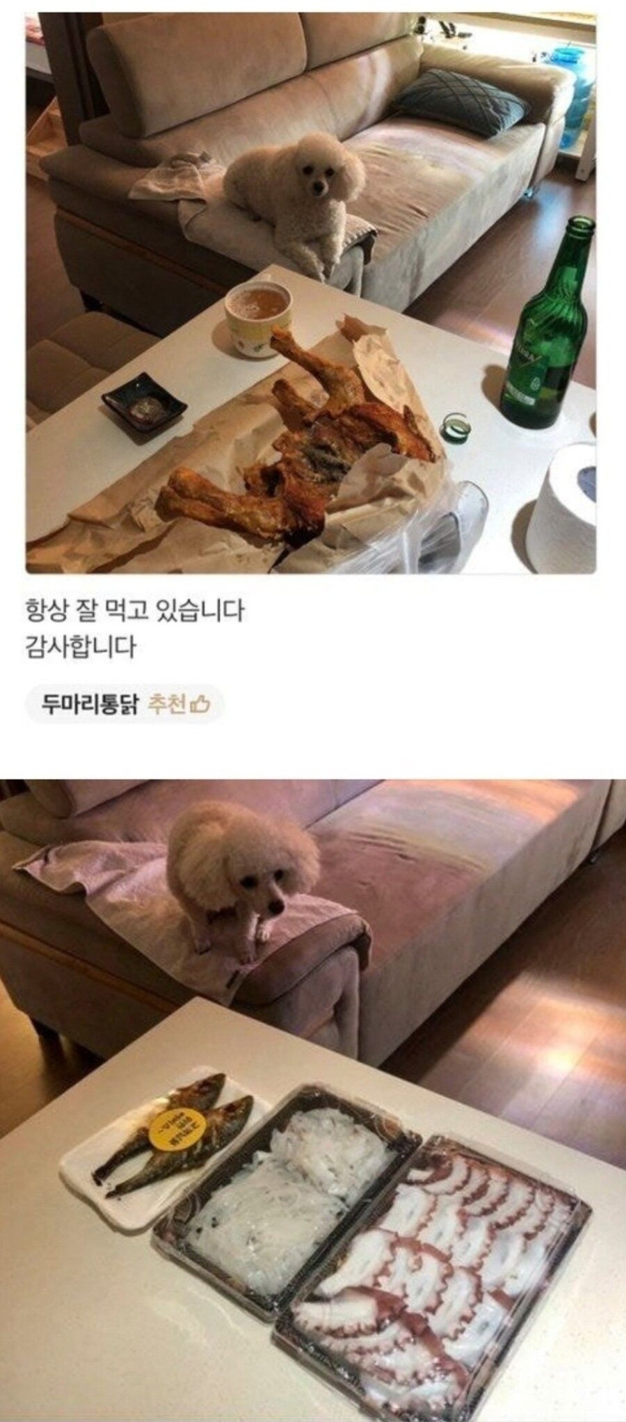 손님에게 아쉬운 소리하는 배달사장님_1.jpg