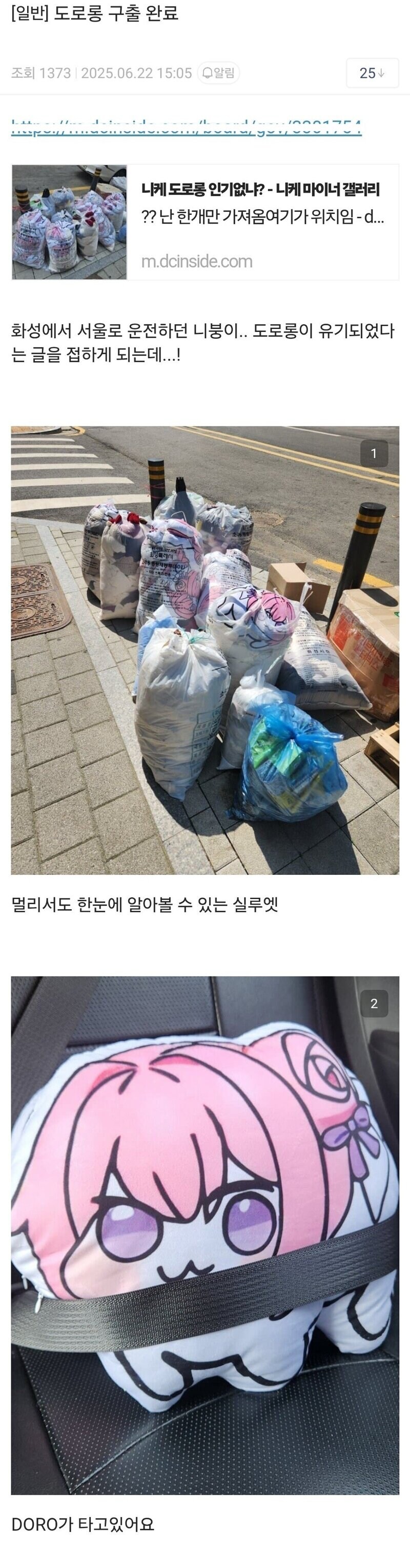 2025년 5~6월 목격 키워드 정리 (초스압)_77.jpg