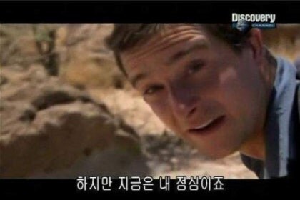 유게이들에게 복수를 하기위해 찾아온 돌고래들_1.jpg
