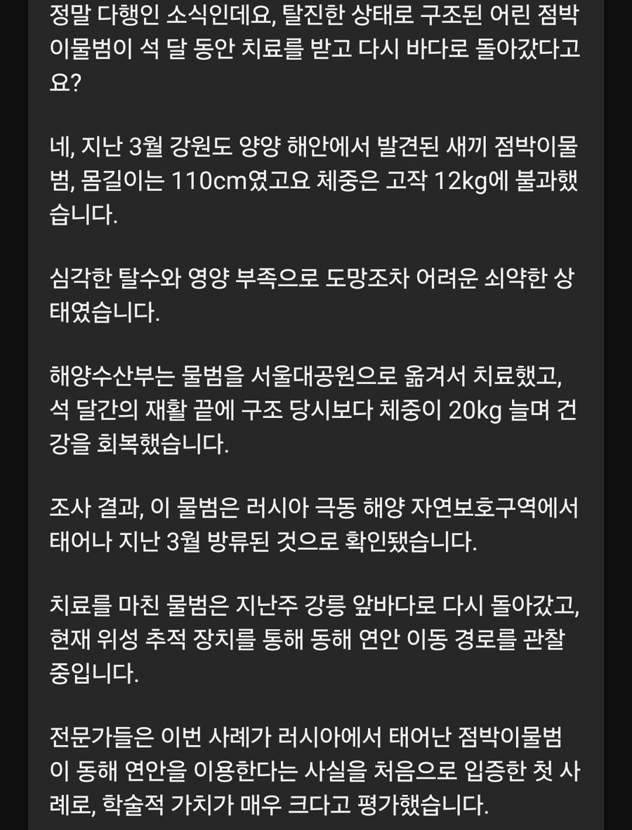 러시아에서 강원도까지 떠내려온 새끼 물범_5.jpg