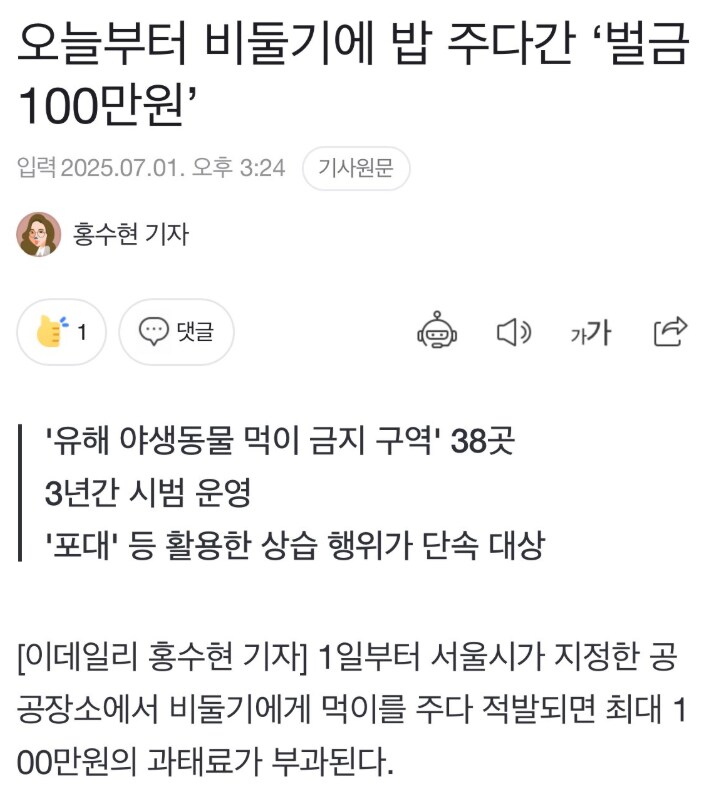 현재 ㅈ됐다는 비둘기 근황....jpg_1.png