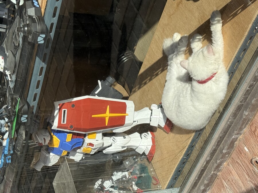 볼 때 마다 감탄 나오는 고양이 피규어_1.jpg