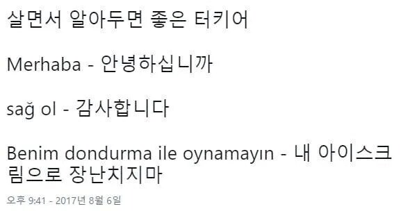 살면서 알아두면 좋은 터키어_1.jpg