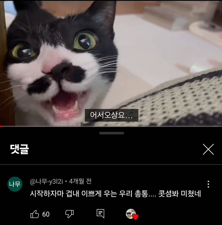 유튭 영상 보다 놀랐네_1.jpg