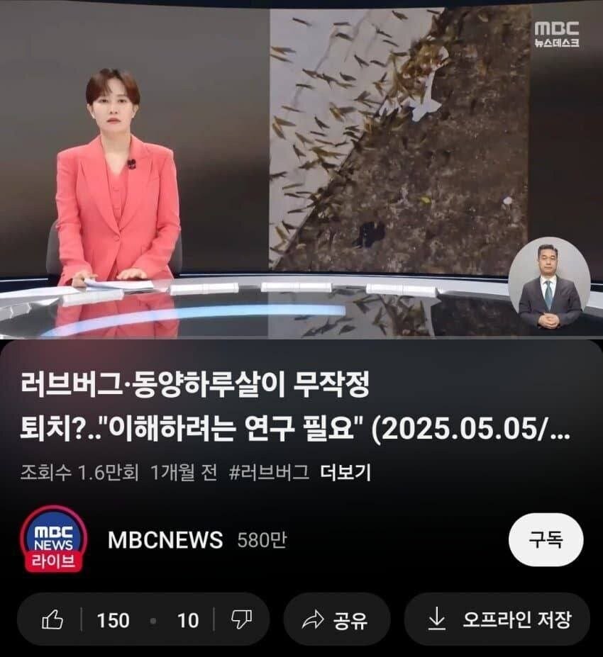 러브버그를 이해하자_1.jpg