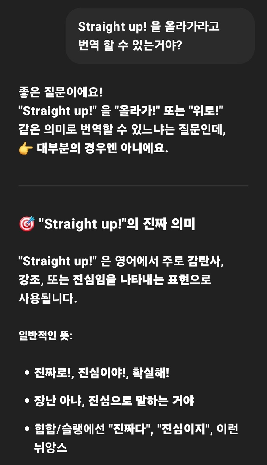 ㅇㅇㄱ) 이거 랩 영문가사 좀 이상해서 GPT에 물어봤는데_6.jpg