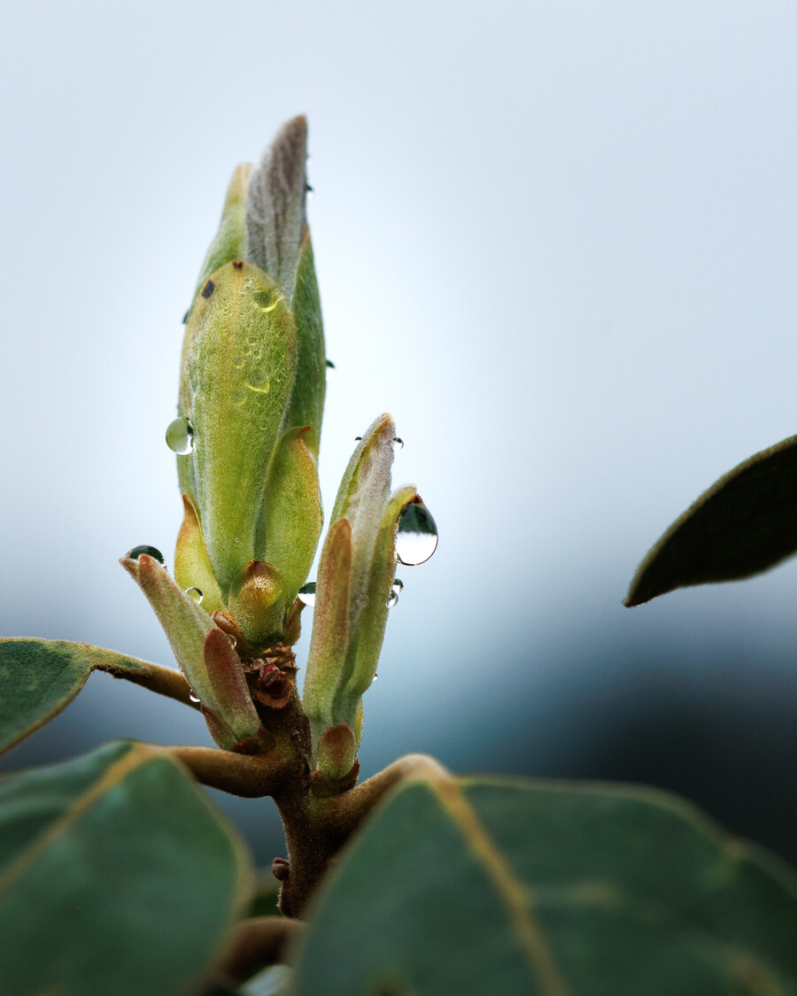 서귀포 시골길_5.jpg