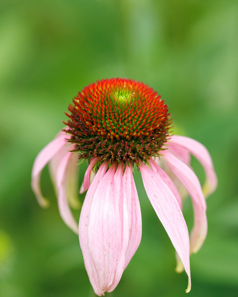 서귀포 시골길_7.jpg