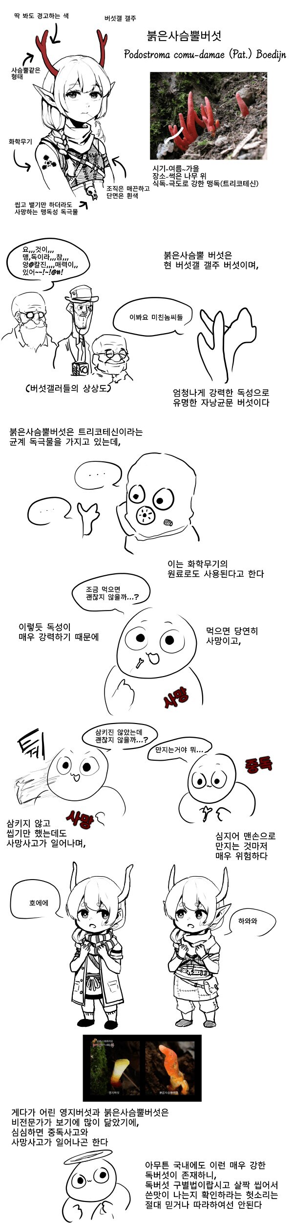 버섯갤 갤주_1.jpg
