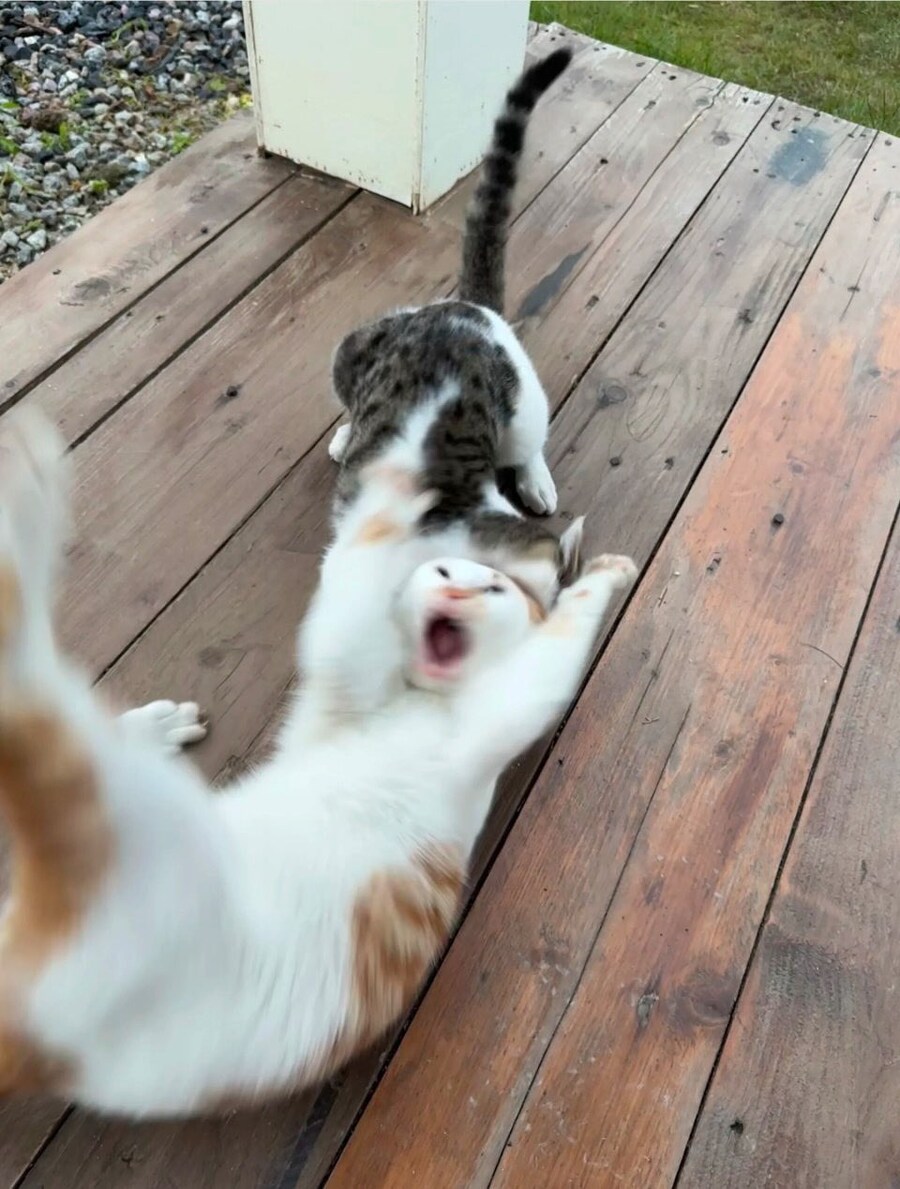 갸아악_1.jpg