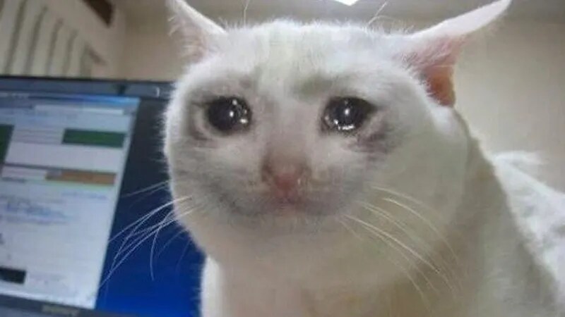 점심 초밥먹고싶은데_1.png