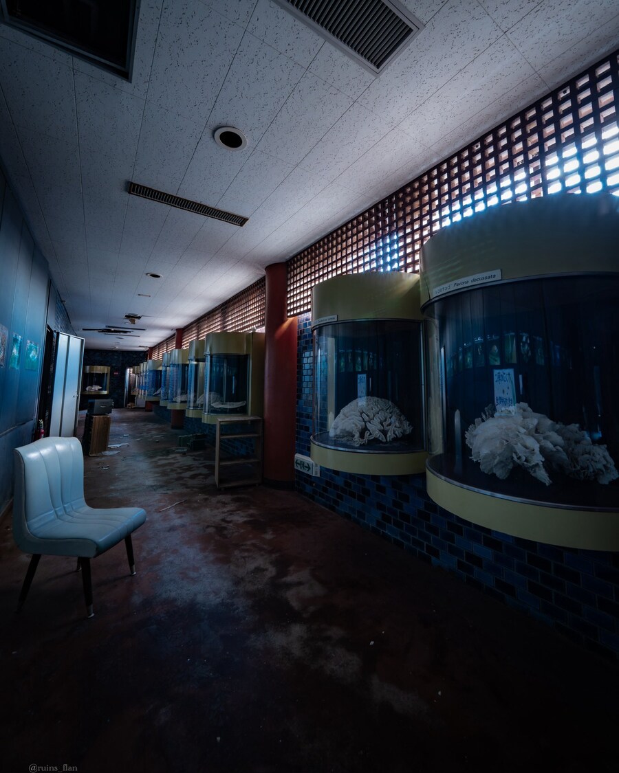 일본, 산호 박물관 폐허🪸🏚️_1.jpg