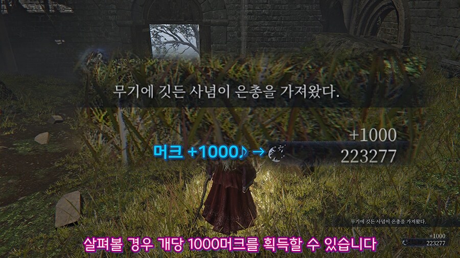꿀팁 모음집, 어쩌면 놓쳤을 조각 정보들_7.png