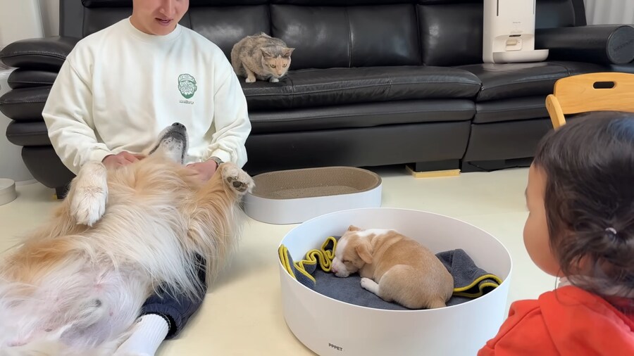 극락을 즐기는 중인 골댕이의 표정_4.jpg