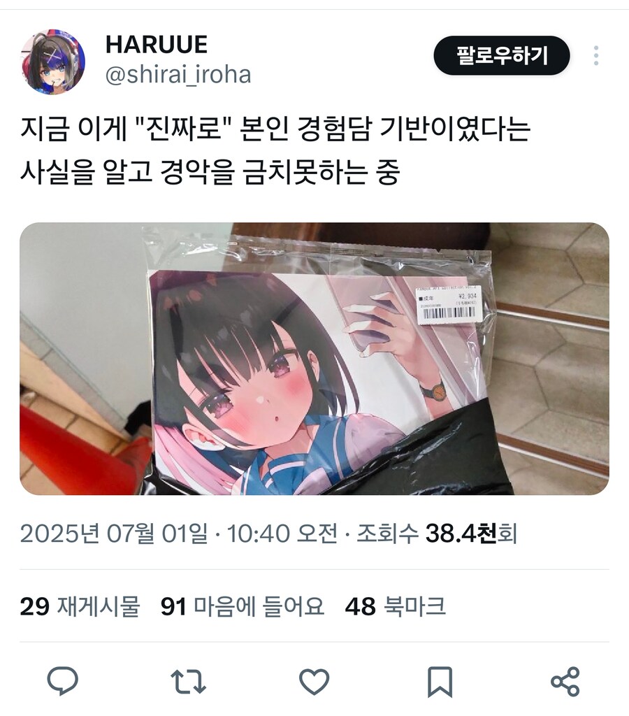 로리 망가가 아니라 수기였던 사건_1.png