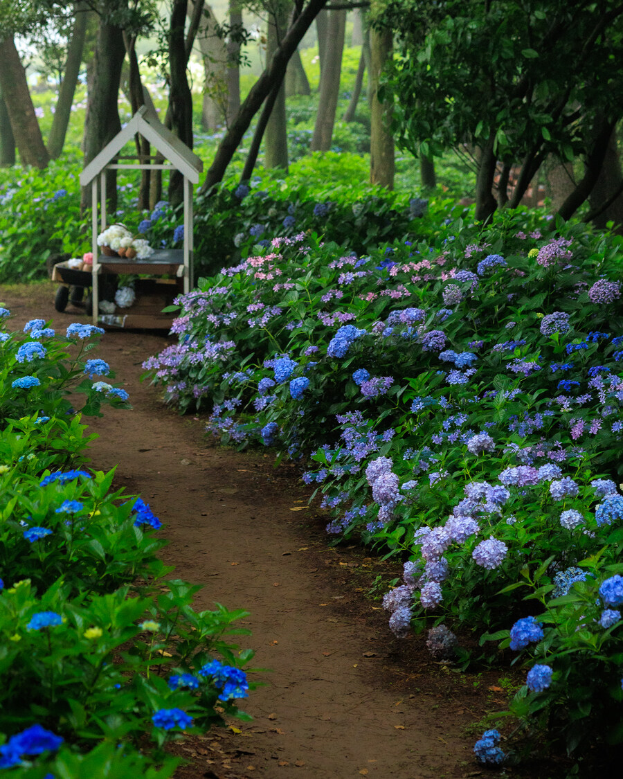 석부작 테마공원_7.jpg