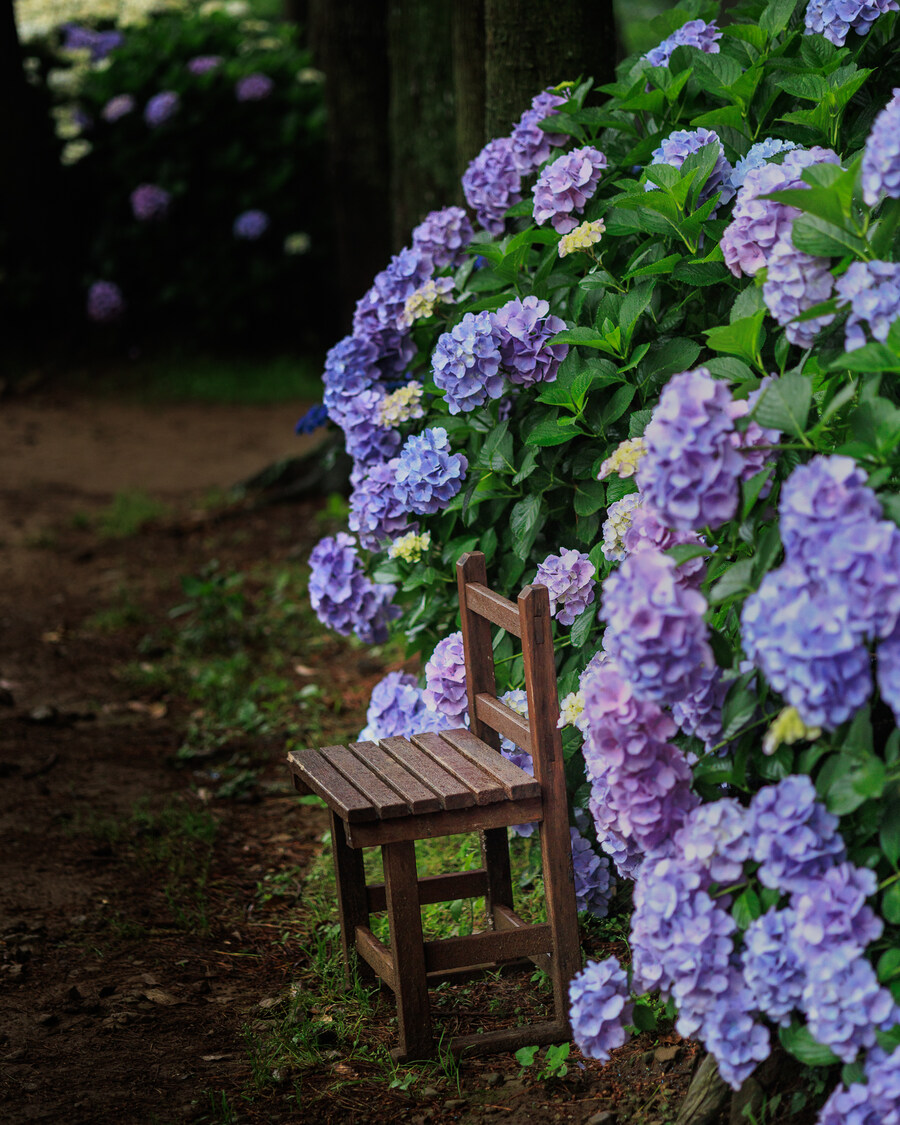 석부작 테마공원_8.jpg