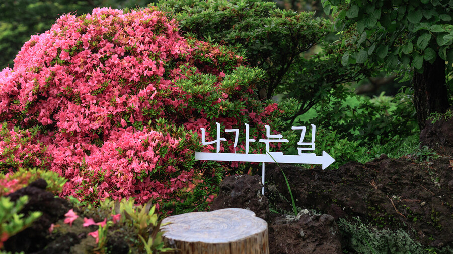 석부작 테마공원_11.jpg