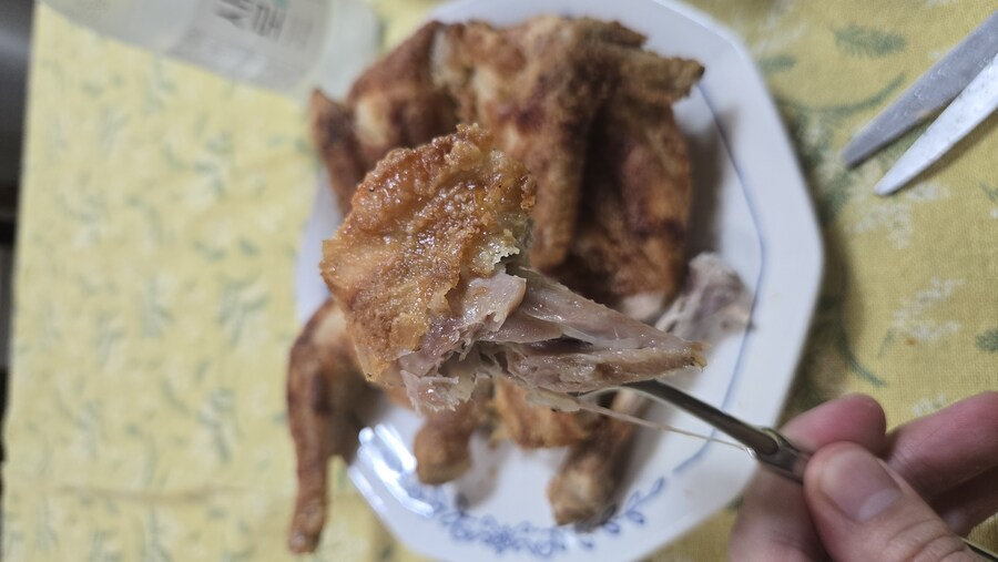 야옹이랑 먹는 에프통닭_20.jpg