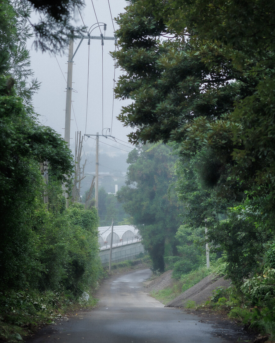 서귀포 시골길_8.jpg