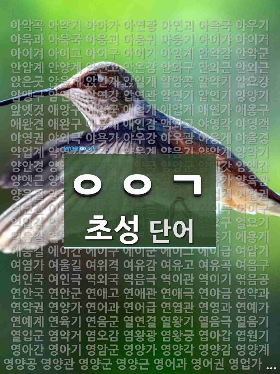 ㅇㅇㄱ_1.jpg