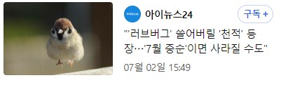 러브버그 쓸어버릴 천적 등장!!! 7월 중순이먼 사라질 수도_1.png