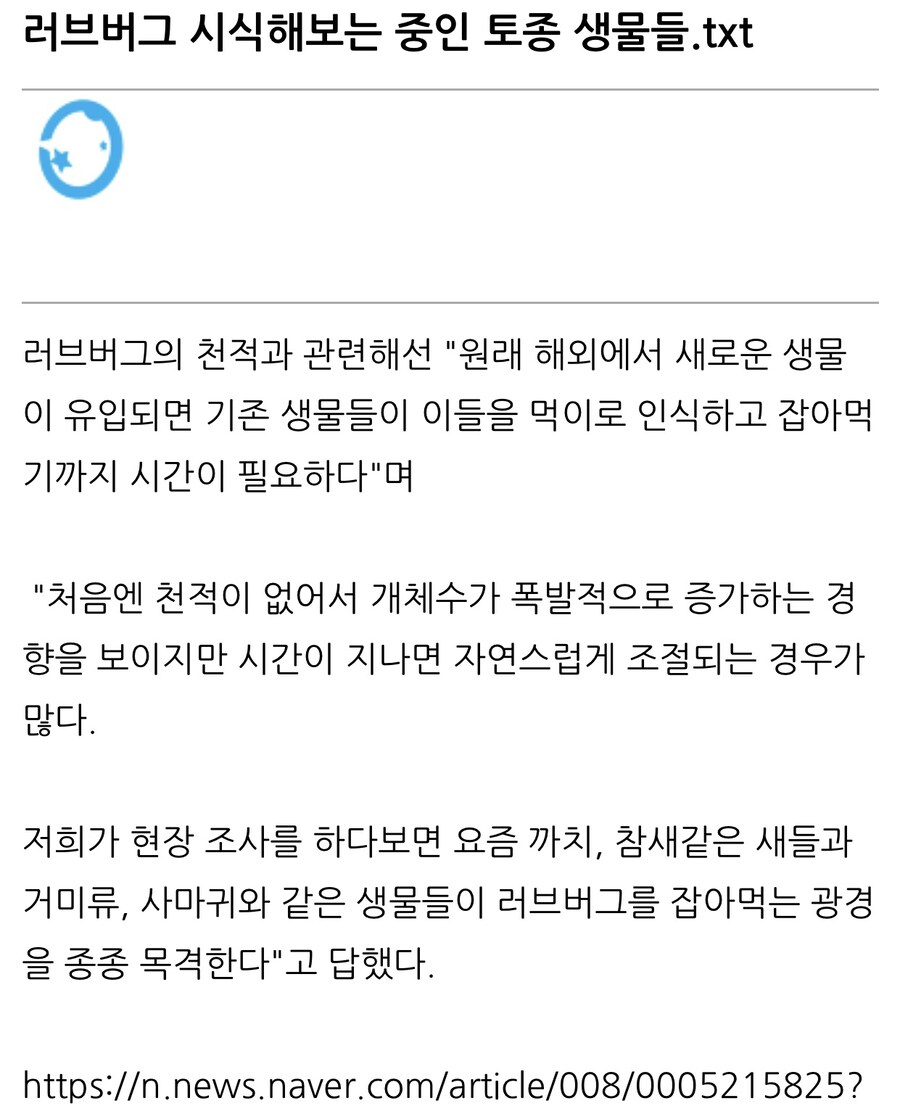 러브버그 시식해보기 시작한 토종 생물들.jpg_1.jpg