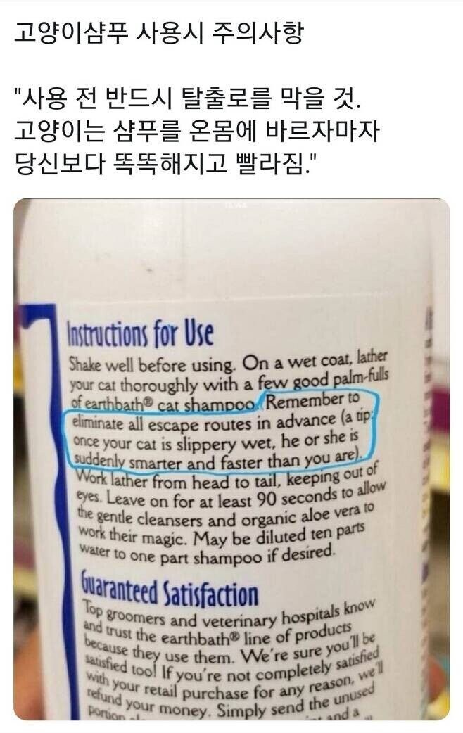 고양이 샴푸 주의사항.jpg_1.jpg