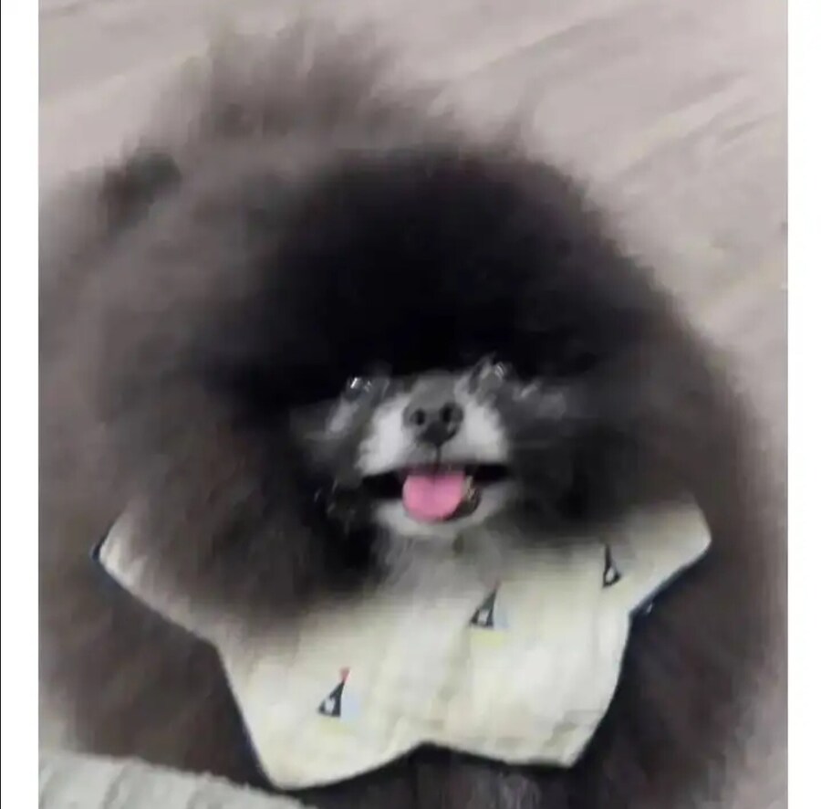 화제가 된 외눈박이 생명체.jpg_3.jpg