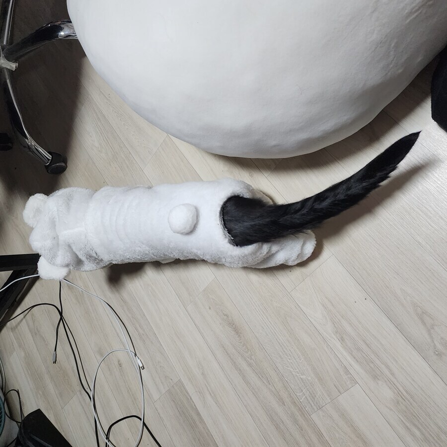 스압)우리집 고양이 보고 자러가_10.jpg