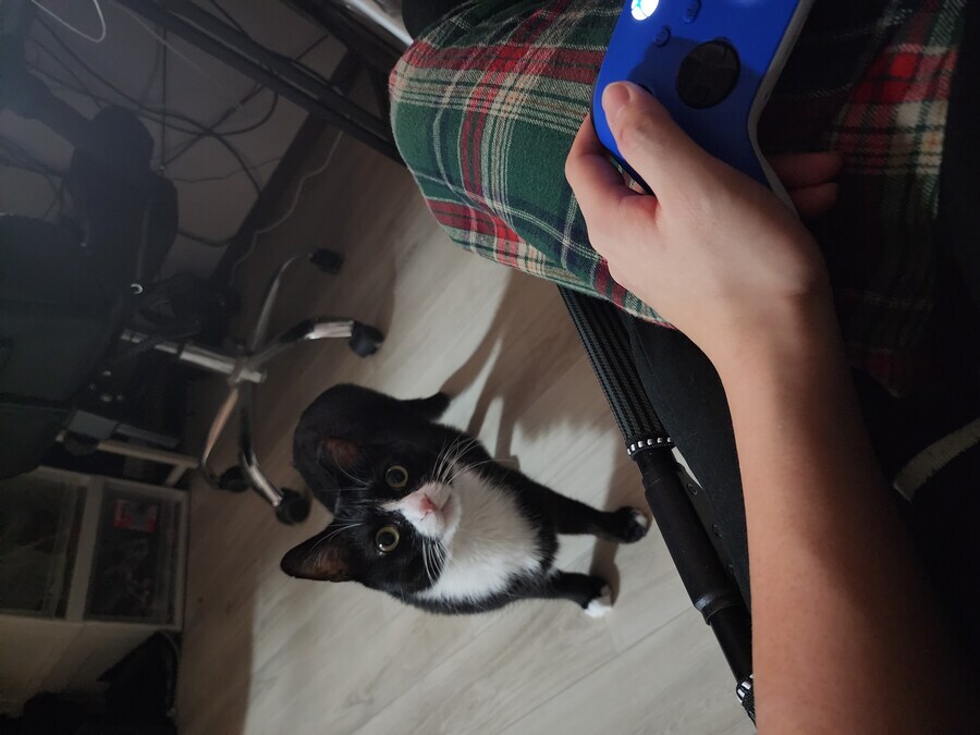 스압)우리집 고양이 보고 자러가_18.jpg