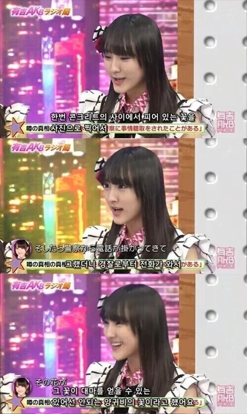 콘크리트를 뚫고 피어난 꽃을 보며 파워를 얻어요. 기특해서 물도 줬어요~.jpg_2.jpg