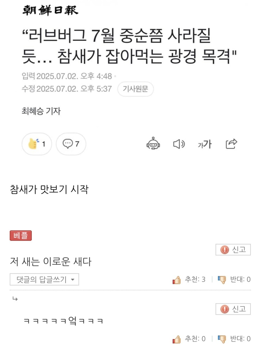 러브 버그 근황_1.png