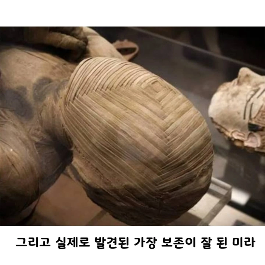 사람들이 잘 모르는 실제 이집트 미라.JPG_2.webp