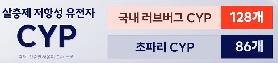 러브버그를 살충제로 죽일 수 없는 이유_2.png